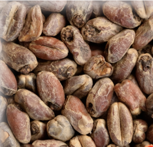 Malta Wheat (Trigo) Arome KG