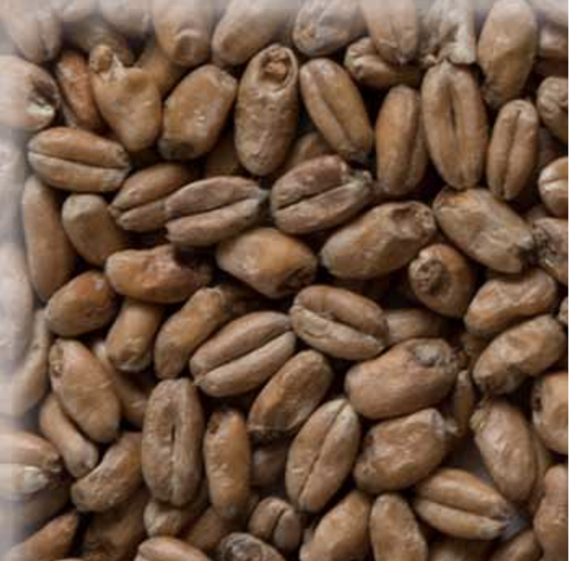 Malta Wheat (Trigo) Munich Light KG