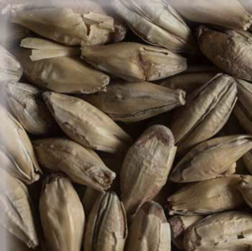 Malta Cara Munich Type I - KG - Weyermann