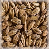 Malta Acidulated KG - Weyermann